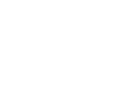 Moes Pop Up Shop